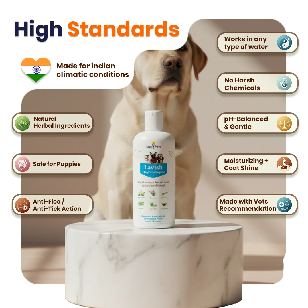LAVISH Dog Shampoo image 3